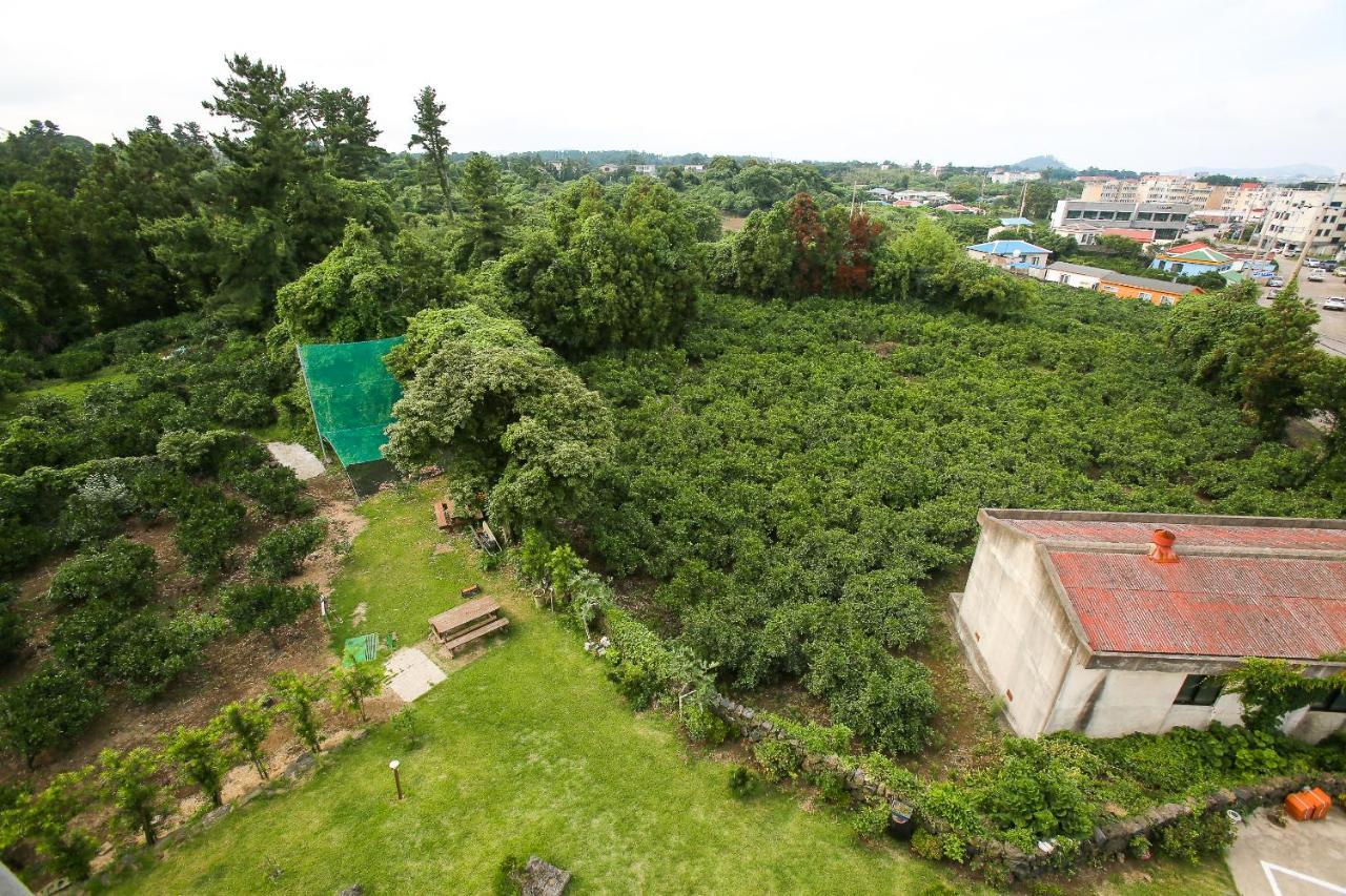 Haeneoul Villa ซอกวีโพ ภายนอก รูปภาพ