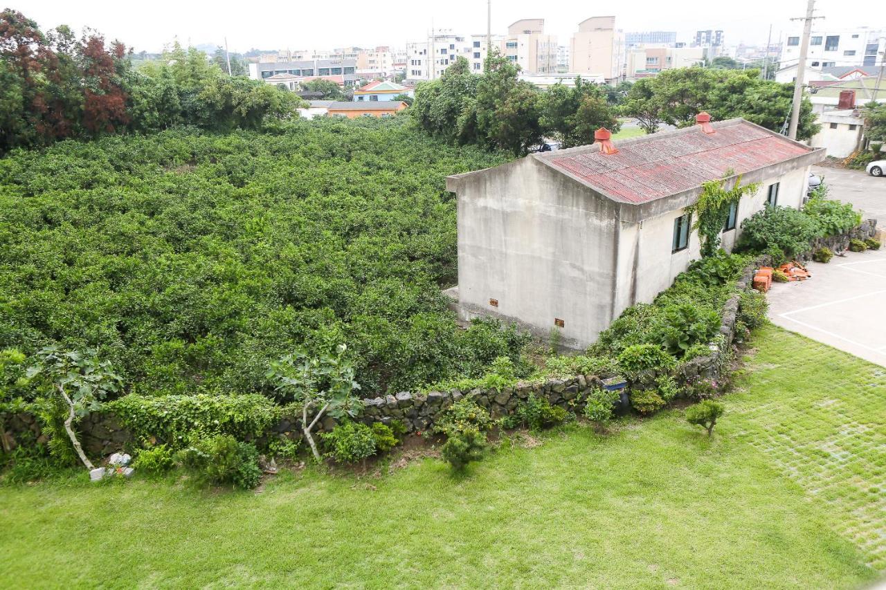 Haeneoul Villa ซอกวีโพ ภายนอก รูปภาพ